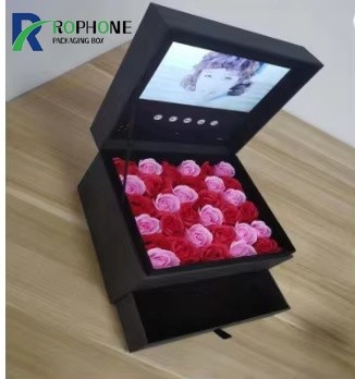 LCD video brochure card